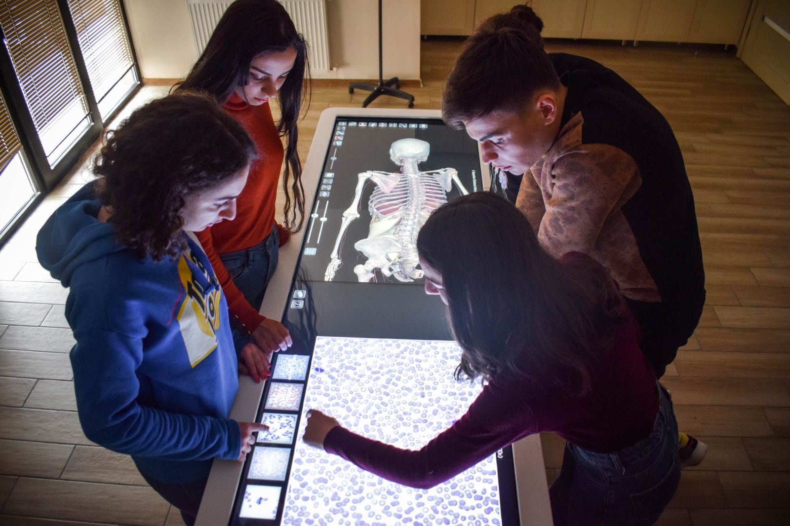 ანატომიური მაგიდა