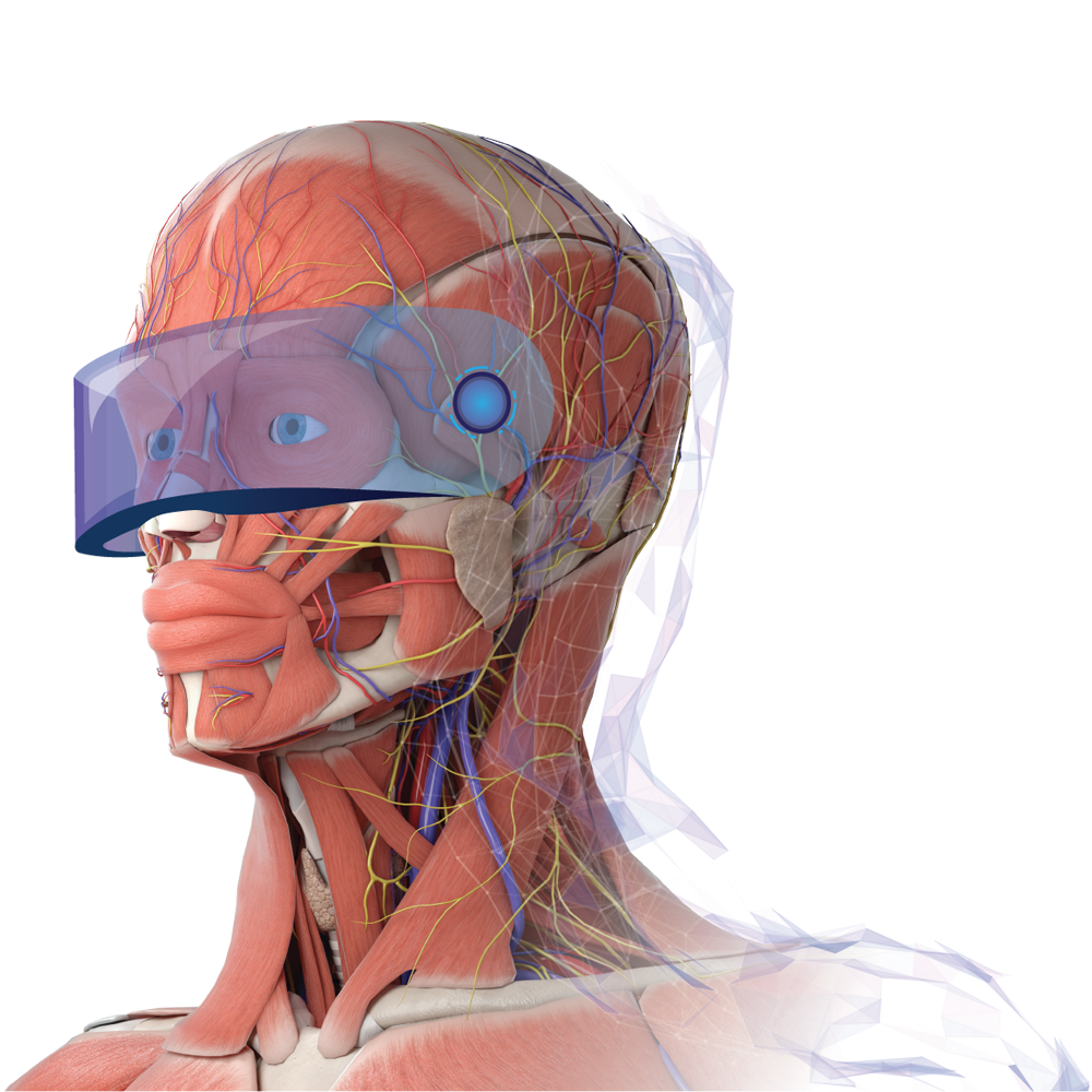 ვირტუალური რეალობა - 3D Organon