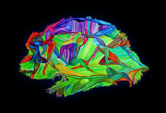 Neuroscience and Art